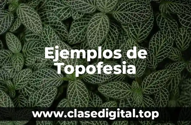 Ejemplos de Topofesia