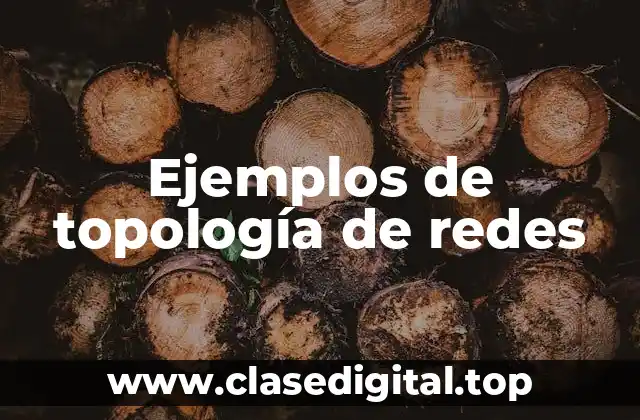 Ejemplos de topología de redes
