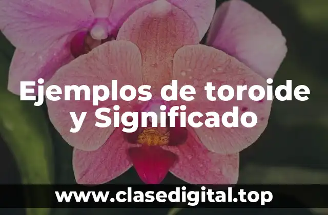 Ejemplos de toroide y Significado