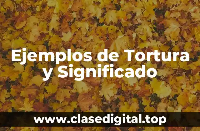 Ejemplos de Tortura y Significado