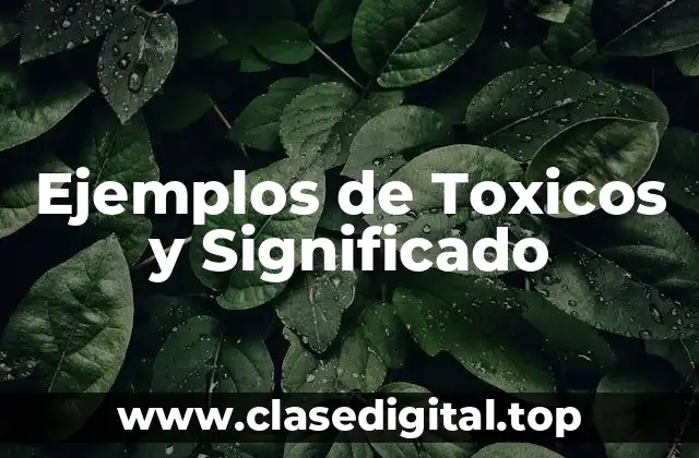Ejemplos de Toxicos y Significado