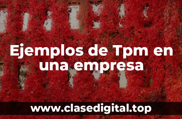 Ejemplos de Tpm en una empresa