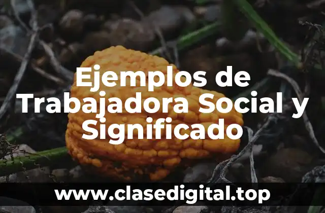 Ejemplos de Trabajadora Social y Significado