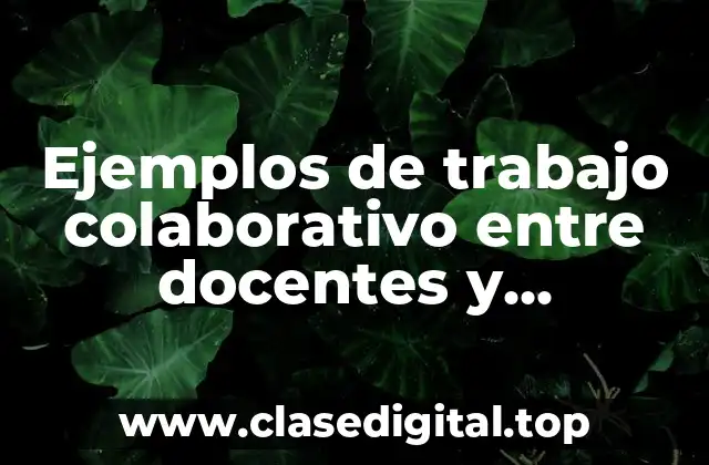 Ejemplos de trabajo colaborativo entre docentes