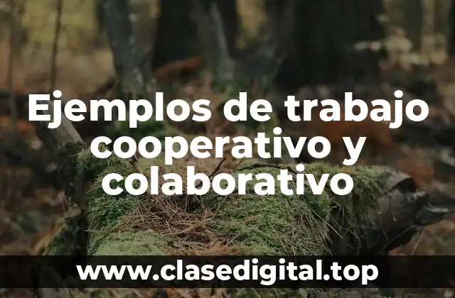 Ejemplos de trabajo cooperativo y colaborativo