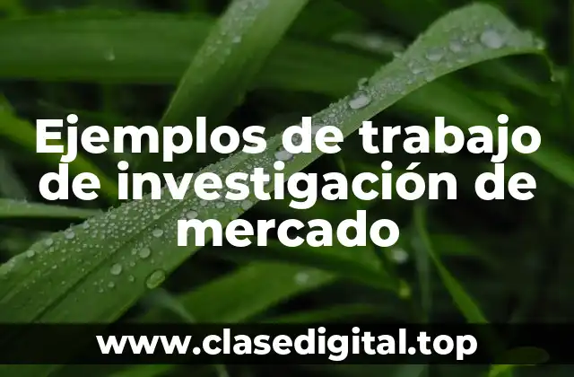 Ejemplos de trabajo de investigación de mercado