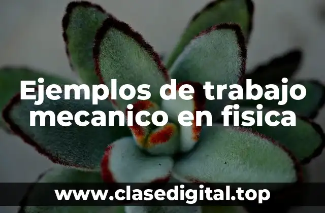 Ejemplos de trabajo mecanico en fisica
