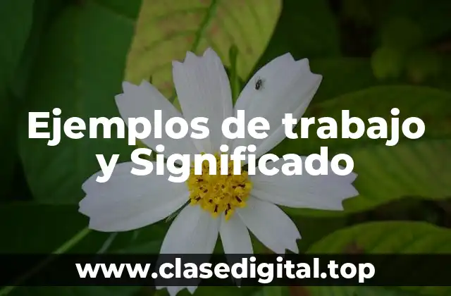Ejemplos de trabajo y Significado