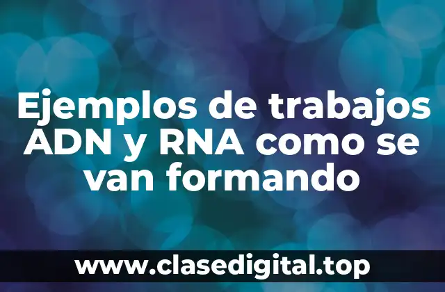 Ejemplos de trabajos ADN y RNA como se van formando