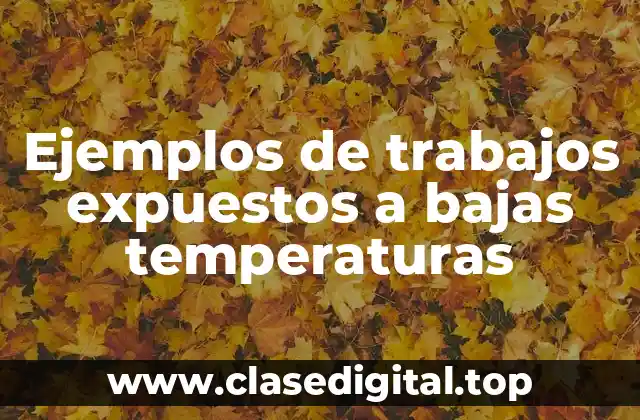 Ejemplos de trabajos expuestos a bajas temperaturas