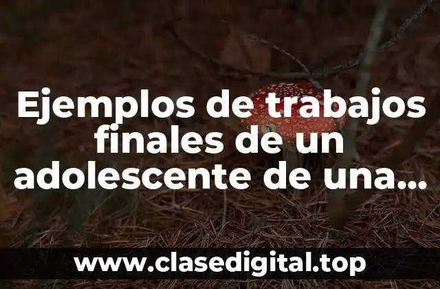 Ejemplos de trabajos finales de un adolescente de una universidad