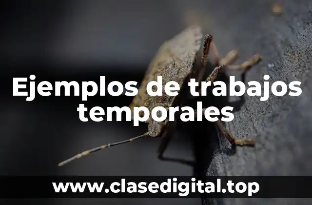 Ejemplos de trabajos temporales