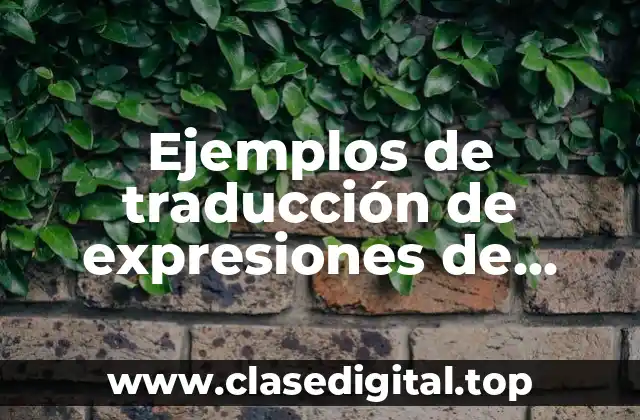 Ejemplos de traducción de expresiones de tiempo pasado