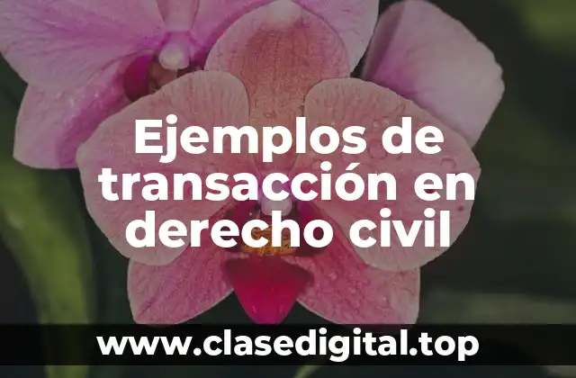 Ejemplos de transacción en derecho civil