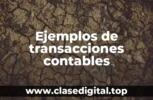 Ejemplos de transacciones contables