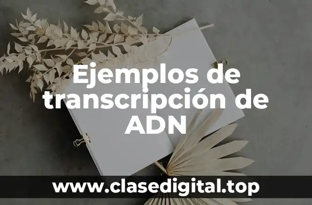 Ejemplos de transcripción de ADN