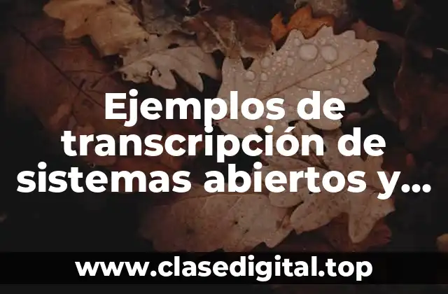 Ejemplos de transcripción de sistemas abiertos y cerrados