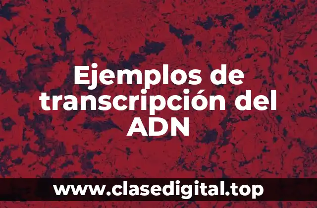 Ejemplos de transcripción del ADN