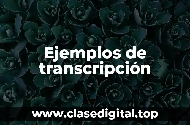 Ejemplos de transcripción