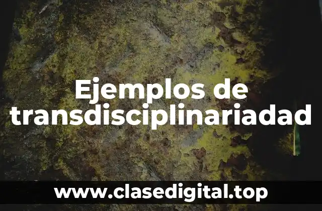 Ejemplos de transdisciplinariadad