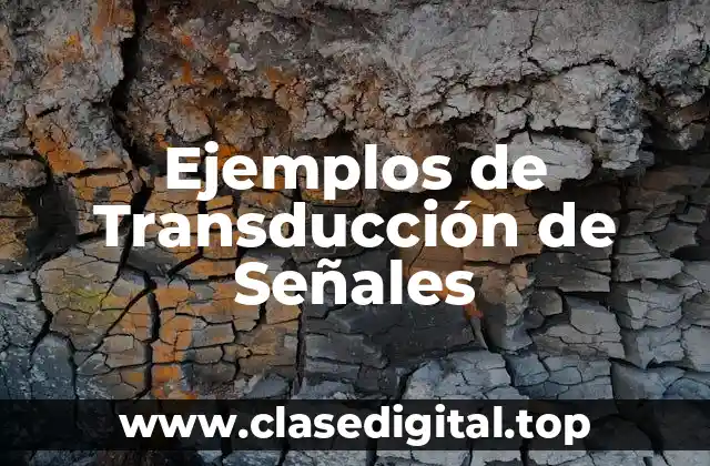Ejemplos de Transducción de Señales