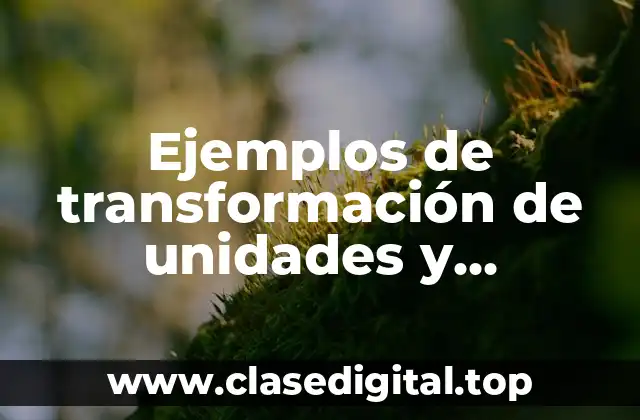 Ejemplos de transformación de unidades y Significado