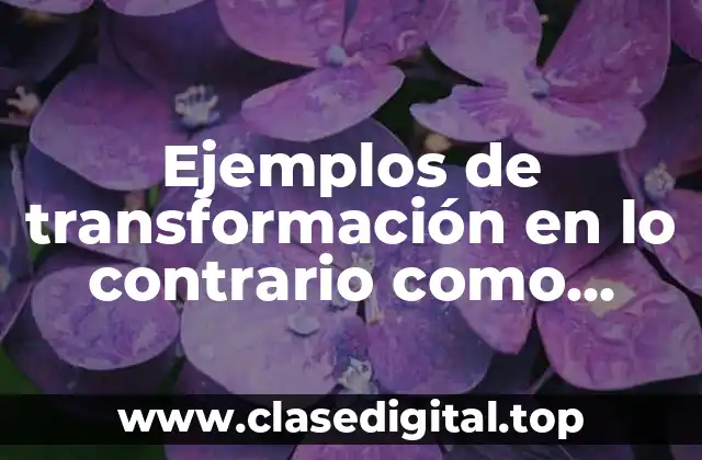 Ejemplos de transformación en lo contrario como mecanismo de defensa