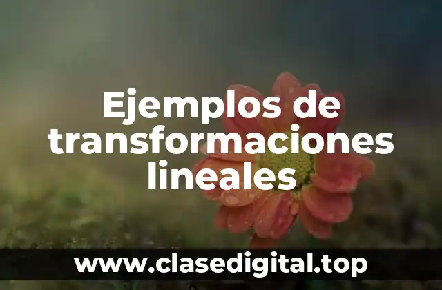 Ejemplos de transformaciones lineales