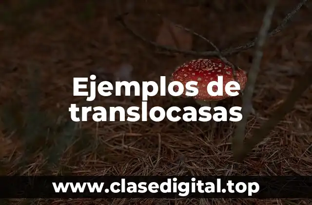 Ejemplos de translocasas
