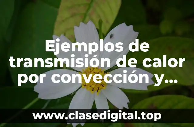 Ejemplos de transmisión de calor por convección y Significado