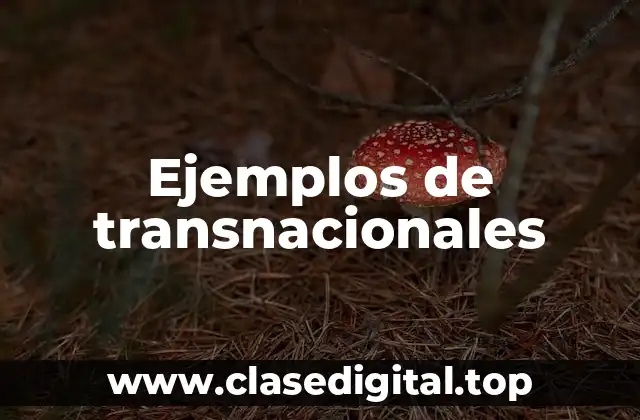 Ejemplos de transnacionales