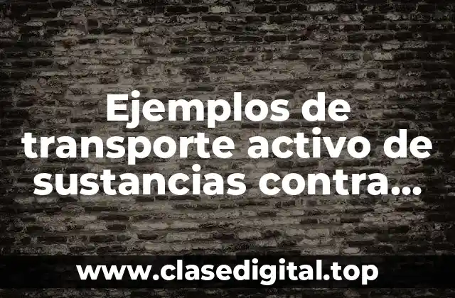 Ejemplos de transporte activo de sustancias contra gradientes de