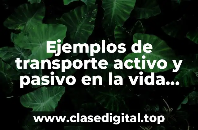 Ejemplos de transporte activo y pasivo en la vida diaria