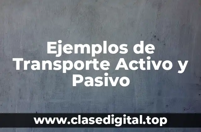 Ejemplos de Transporte Activo y Pasivo