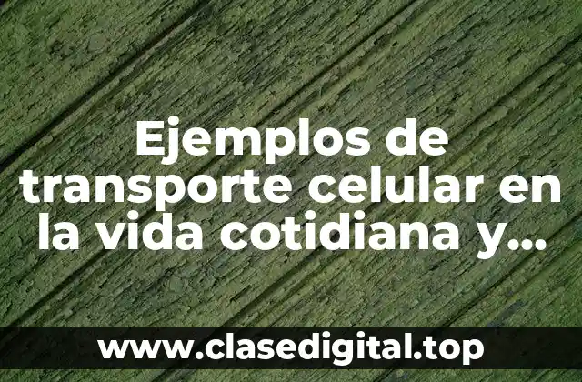 Ejemplos de transporte celular en la vida cotidiana y Significado