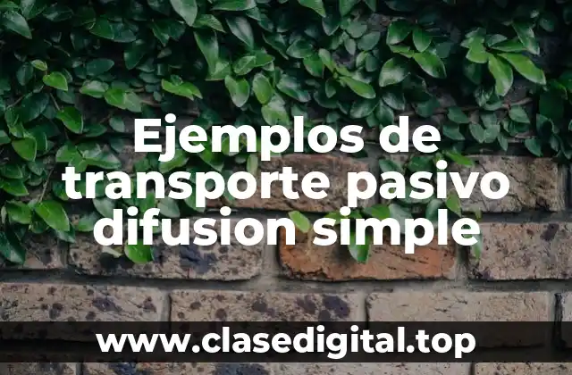Ejemplos de transporte pasivo difusion simple