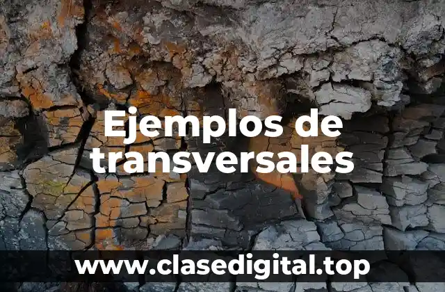 Ejemplos de transversales