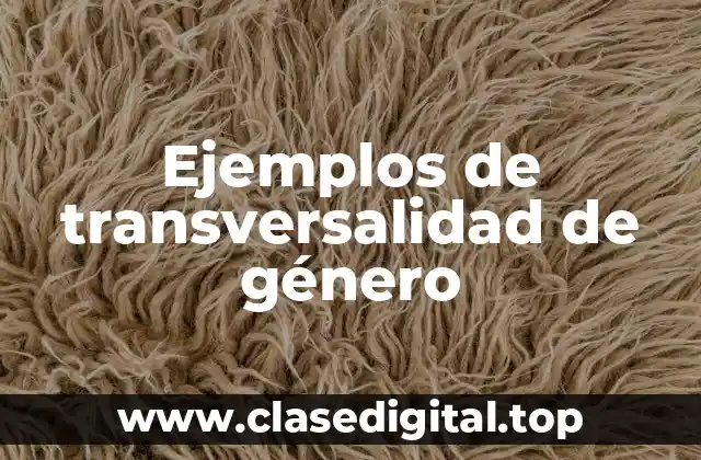 Ejemplos de transversalidad de género