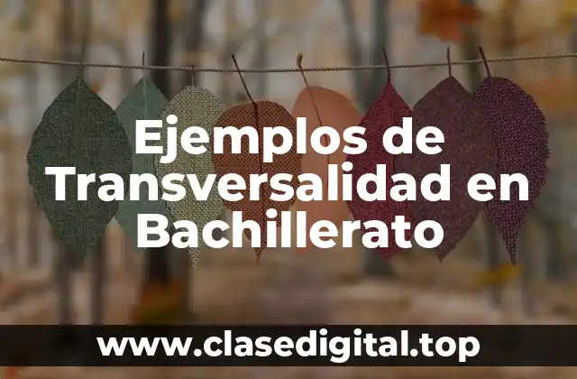 Ejemplos de Transversalidad en Bachillerato