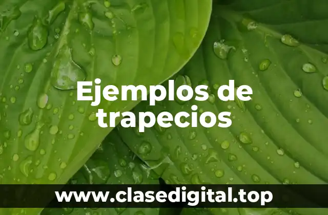 Ejemplos de trapecios