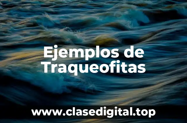 Ejemplos de Traqueofitas