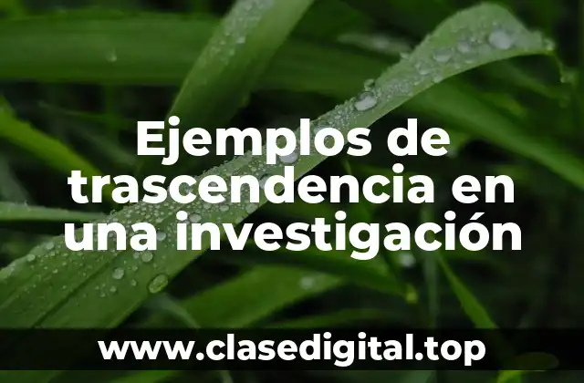 Ejemplos de trascendencia en una investigación