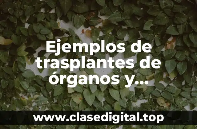 Ejemplos de trasplantes de órganos