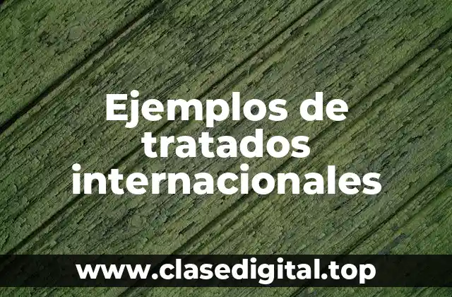 Ejemplos de tratados internacionales