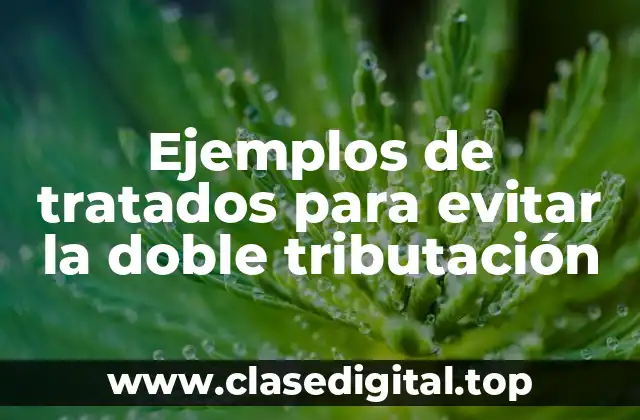 Ejemplos de tratados para evitar la doble tributación