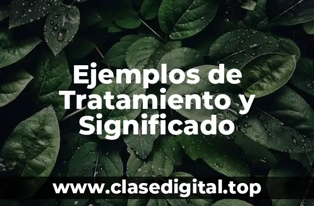 Ejemplos de Tratamiento y Significado