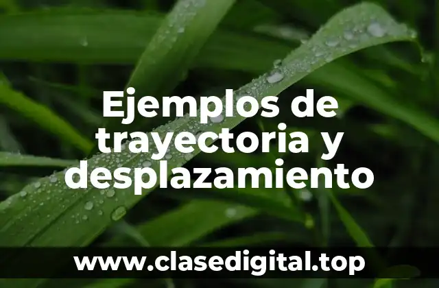 Ejemplos de trayectoria y desplazamiento