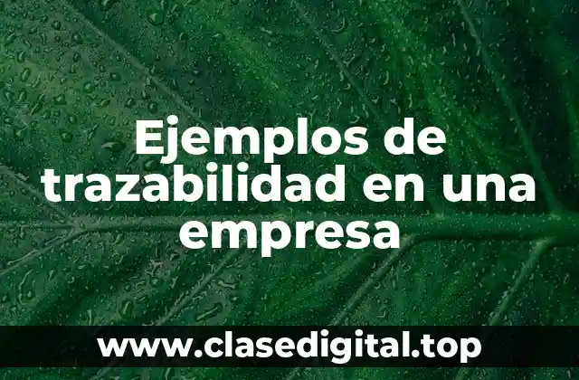 Ejemplos de trazabilidad en una empresa
