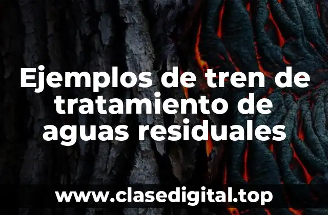 Ejemplos de tren de tratamiento de aguas residuales