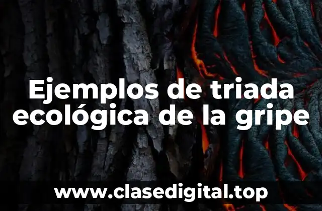 Ejemplos de triada ecológica de la gripe